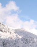 【東北】春雪（散文）