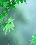 【曉荷.獎(jiǎng)】雨憶（散文）