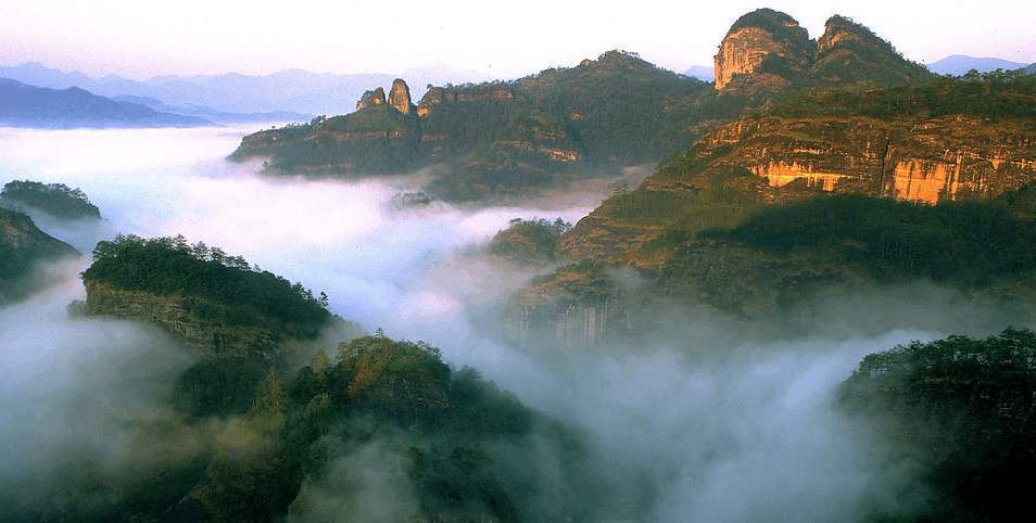 【鳳凰?舞】武夷山之旅——叩問山水，茶中情（散文）