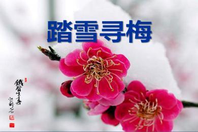 【軍警】落雪，有詩(shī)有襲（詩(shī)歌）