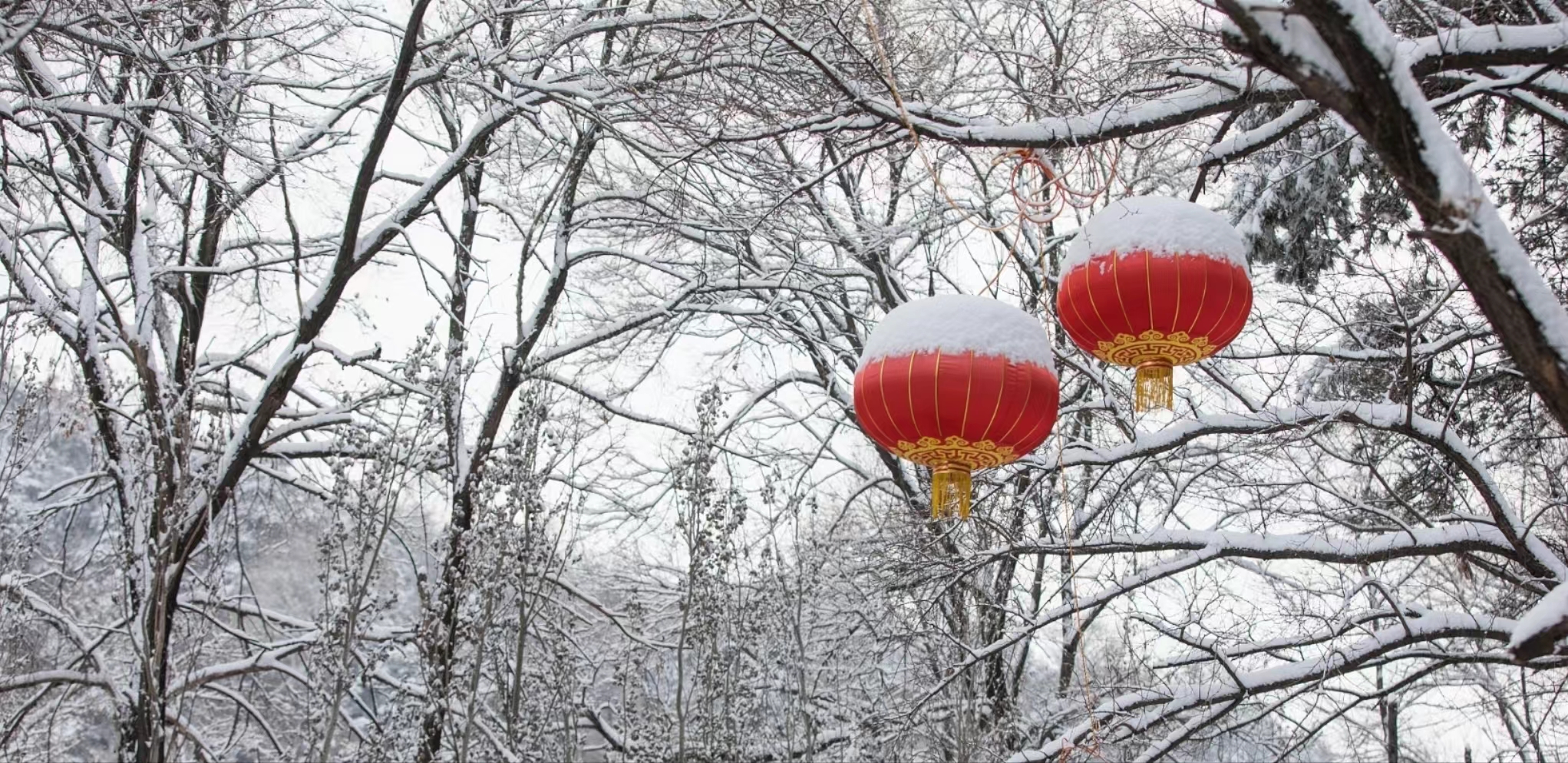 【文璞】春雪（散文）