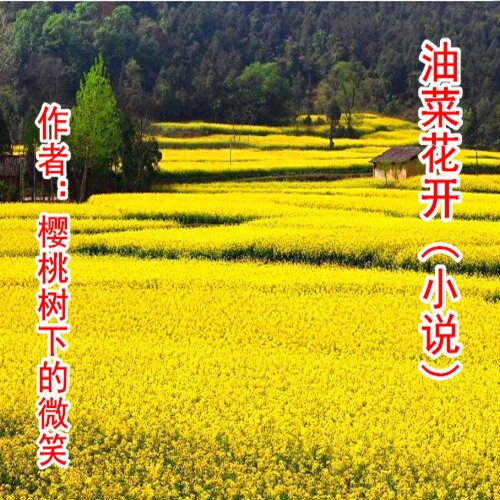 【柳岸?春】油菜花開（小說）