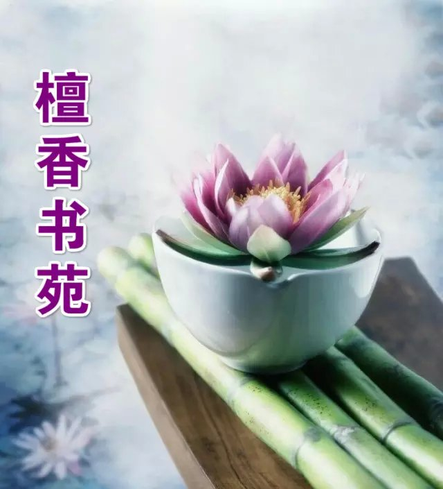 【檀香.某人杯】一朵花朵，一個(gè)太陽（組詩(shī) 征文）